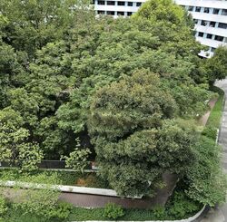 Blk 308C Waterway Terraces I (Punggol), HDB 4 Rooms #501957951